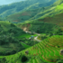 Long Nguyễn
